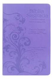 B�blia Com Harpa 774 Pjv Letras Extra Gigante Texto Colorido Palavras De Consolo Em Azul Profecia Em Verde Lilas
