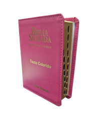 B�blia Tijolinho Luxo Com Harpa full Color CPP