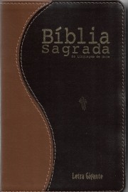 Bíblia NTLH Letra Gigante luxo Bicolor sbb