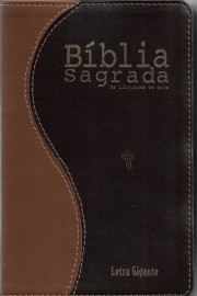 Bblia NTLH Letra Gigante luxo Bicolor sbb