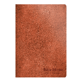 Biblia NVT Bil�ngue Avel� Especial