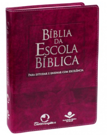 Biblia Da Escola Biblica Purpura Nobre 