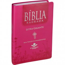 Biblia Letra Gigante  Ntlh Luxo  Pink com indice