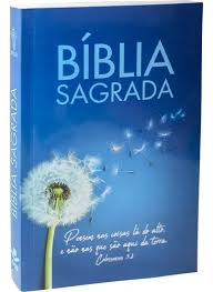 B�blia Media NTLH Brochura