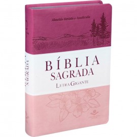 Biblia Letra Gigante RA Emborrachada Tricolor Com �ndice