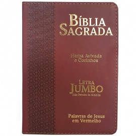 Bblia  Jumbo ARC Com  Harpa Avivada e Corinhos  Capa PU Luxo Estrela Bord