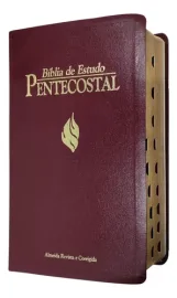 B�blia Estudo Pentecostal Media Com Harpa Vinho Luxo Com Indice
