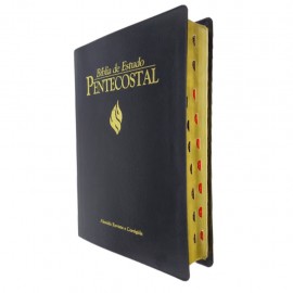 Biblia De Estudo Pentecostal Grande Preta com indice