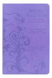 B�blia Com Harpa 774 Pjv Letras Extra Gigante Texto Colorido Palavras De Consolo Em Azul Profecia Em Verde Lilas