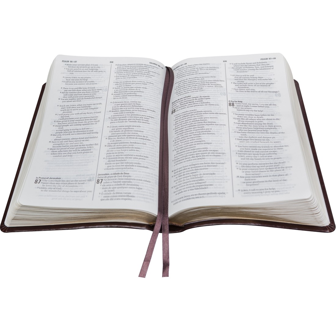 Criart Gospel Artigos Evangélicos - ***BÍBLIA BILÍNGUE - INGLÊS