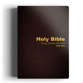 Holy Bible King James 1611 Ingl�s KJV Capa Luxo Vinho