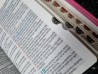 Imagem 7