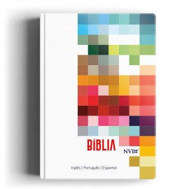 Bíblia NVI - Trilíngue Extra Gigante feminina