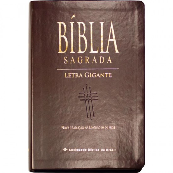 Imagem 1