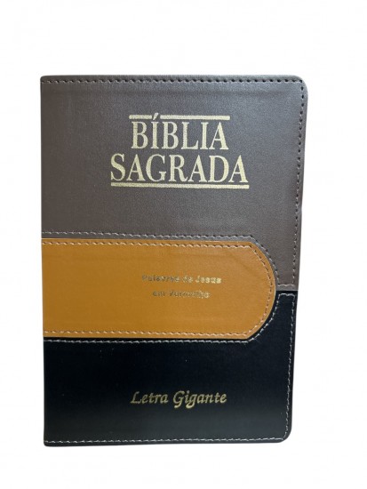Imagem 1