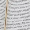Imagem 5