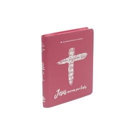 B�blia NAA Ziper - Linha Ouro Rosa