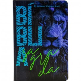 Bblia Leo NTLH Capa Dura Azul