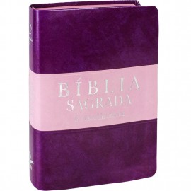 Biblia Letra Gigante Bicolor Rosa Violeta Ra Sbb 