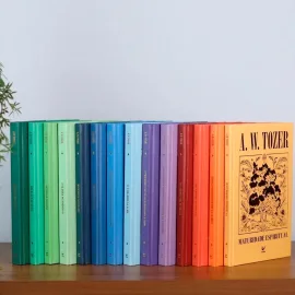 Cole��o A. W. Tozer - 14 Livros Capa Dura