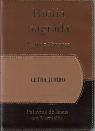 Biblia jumbo luxo com harpa Bicolor com indice cpp