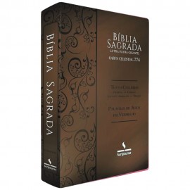 B�blia Letras Extra Gigante Texto Colorido Palavras De Consolo Em Azul Profecia Em Verde - Marrom Escuro Arabesco