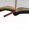 Imagem 6
