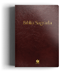 B�blia NVT Slim Marrom Luxo