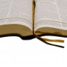 Imagem 4