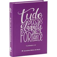 B�blia  Media NAA Letra Maior Capa Dura Pink