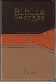 B�blia Luxo slim NTLH bicolor com indice