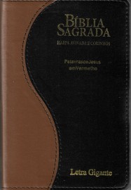 Biblia letra Gigante luxo bicolor PJV com Harpa indice cpp