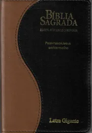 Biblia Letra Gigante Luxo Bicolor PJV com Harpa indice cpp
