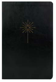 B�blia NVT Slim Filament Preta + aplicativo