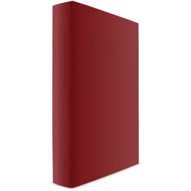 Biblia Estudo Joyce  Meyer luxo Letra Grande Vermelho