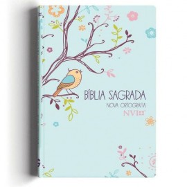 Biblia Nvi Um Tempo Especial Com Deus Capa Dura 