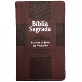 Biblia lt ultragigante pjv luxo estrela bordo