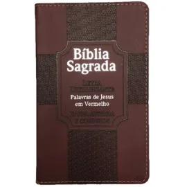 Biblia lt ultragigante pjv luxo estrela bordo