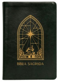 The Purpose Book: B�blia Sagrada, A21, Couro soft, Janela Verde Luxo