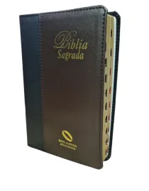 B�blia NAA Slim Luxo Bicolor SBB 