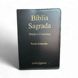 B�blia Slim Letra Grande Luxo Lateral Dourada Com Harpa Full Collor