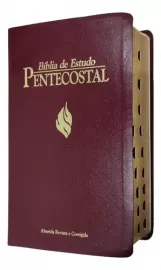 B�blia Estudo Pentecostal Media Com Harpa Vinho Luxo Com Indice