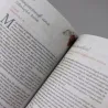 Imagem 4