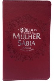 Biblia Da Mulher Sabia Mod 02 Buque Bordo 