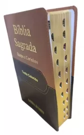 Bblia Letra Jumbo Luxo Com Harpa Avivada e Corinhos  RC Tricolor Ful Color