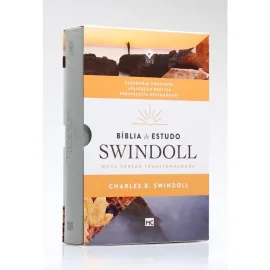 Biblia De Estudo Swindoll Nvt Cinza