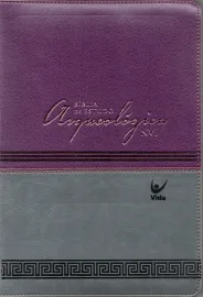 Biblia Arqueologica Vinho e Cinza