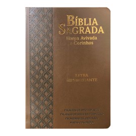 B�blia Letra Hipergigante Arc Full Color Pu Luxo Com Harpa Com �ndice Marrom