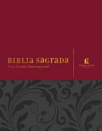 Biblia Para Anotacoes Vermelho Nvi  Luxo