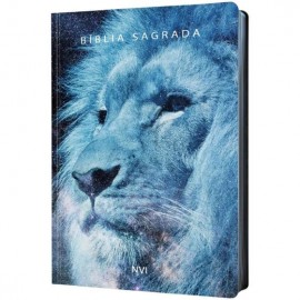 B�blia NVI Capa Dura Rei dos C�us
